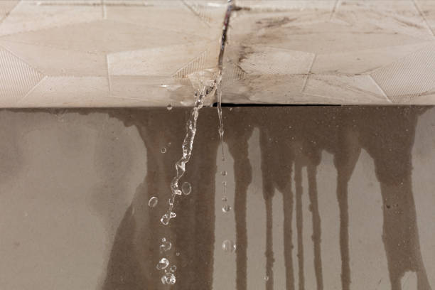 Professional Sewage Cleanup technician working in Tilden, NE